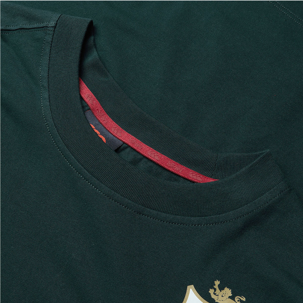 Canterbury British and Irish Lions Cotton Rugby Tee - Mens - Green