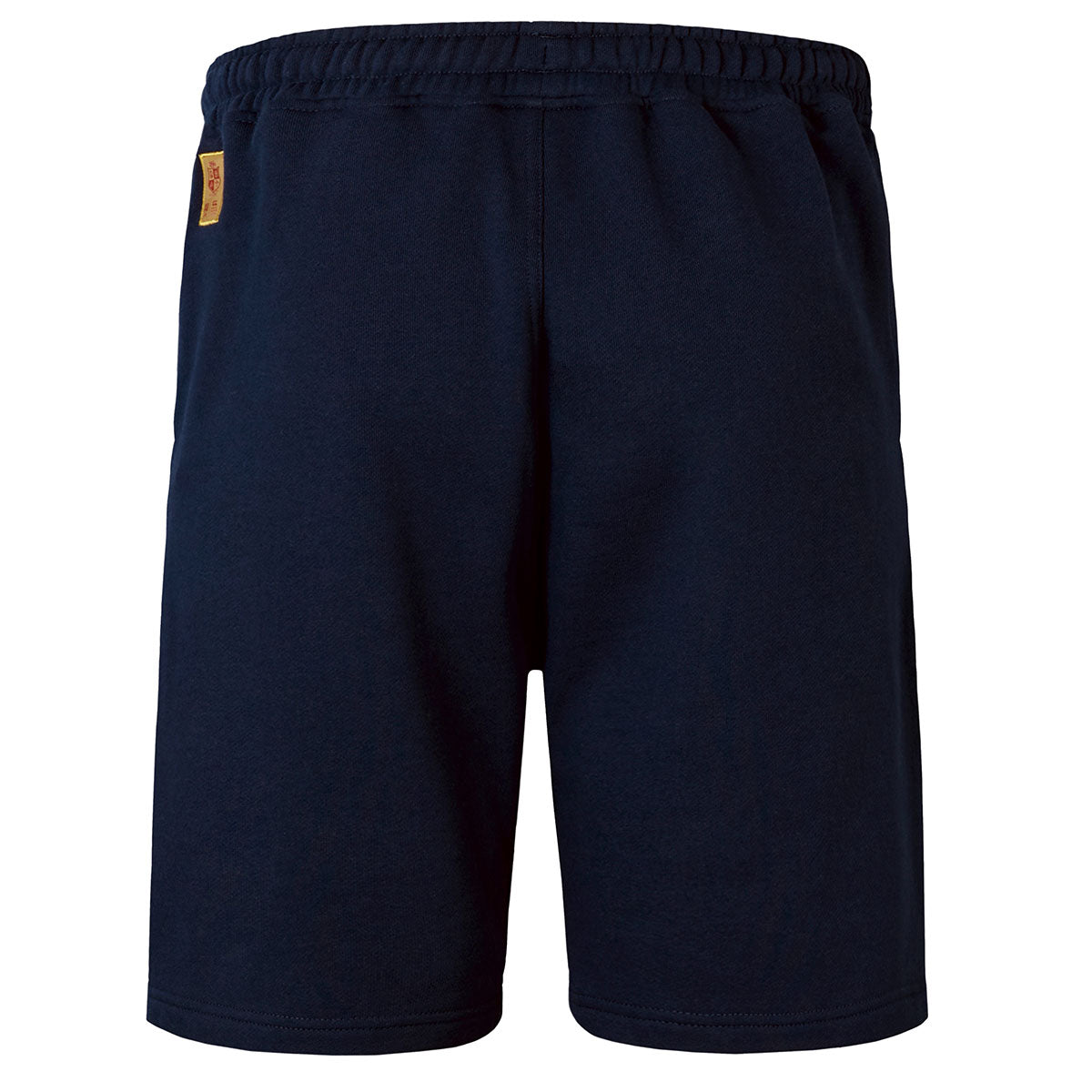 Canterbury British and Irish Lions Fleece Rugby Shorts - Mens - Dark Sapphire