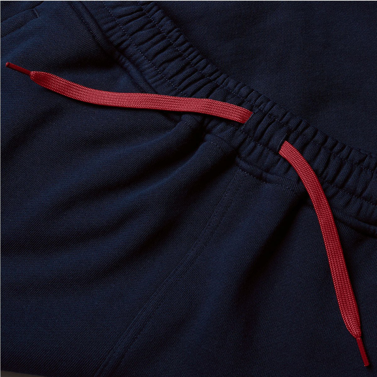Canterbury British and Irish Lions Fleece Rugby Shorts - Mens - Dark Sapphire
